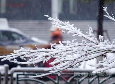 小雪节气注意什么 这几种养生食谱要知道