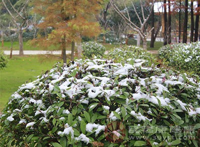 小雪是什么 小雪适合吃这些食物