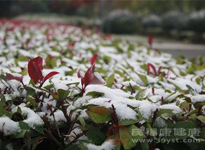 大雪节气 大雪的习俗你都了解吗