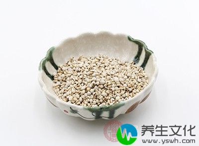 再与薏苡仁煮粥食用