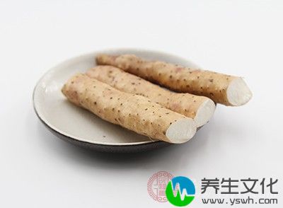 山药性平味甘，为中医“上品”之药