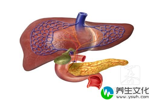  肝积水能治好吗