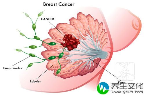 乳房疼小腹疼是怀孕吗