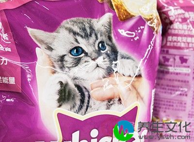 猫一定要养在家里，喂成品猫粮或熟食