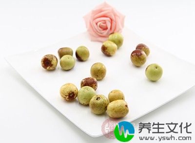 中医认为枣子是一种温和的食物