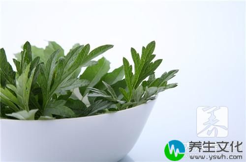 新鲜艾草怎么吃