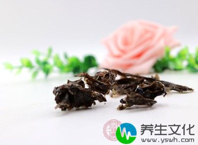 紫菜是一种很有营养价值的食物