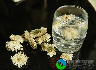 菊花山楂茶能清热，降压