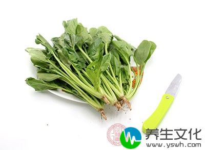 菠菜具有乌发的作用