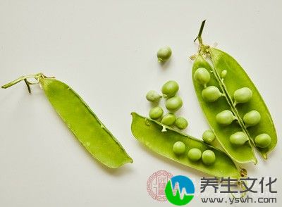 现代研究也发现了豌豆美容、美白的作用