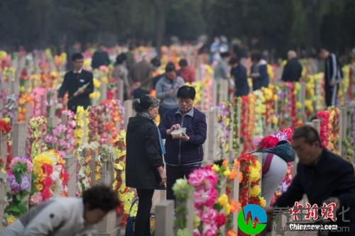 资料图：4月3日，山西省太原市，大批民众在墓园祭奠亲人。 韦亮 摄