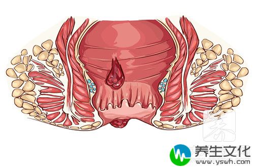  稀便不成形是什么原因