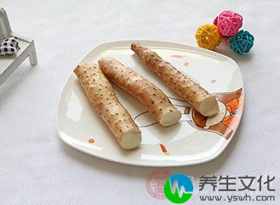 山药性平味甘，为中医“上品”之药