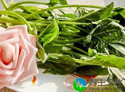 菠菜冷而滑，下气润燥