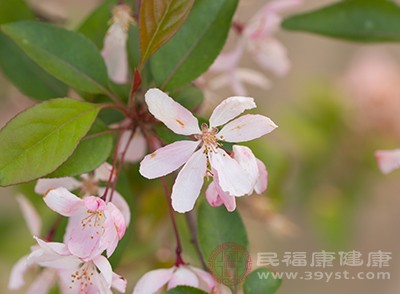 谷雨是什么时候 你对谷雨有多少了解