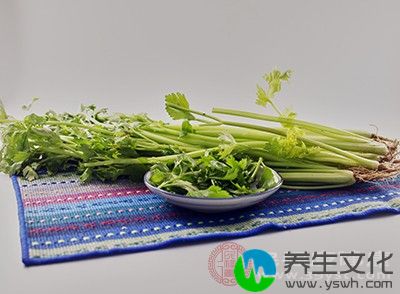 芹菜具有清热、平肝、明目与降血压的功效