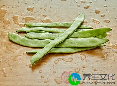 包括鹰嘴豆、菜豆和小扁豆等