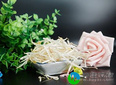 绿豆芽的营养价值毫不逊色