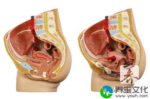  小便时龟头疼怎么回事