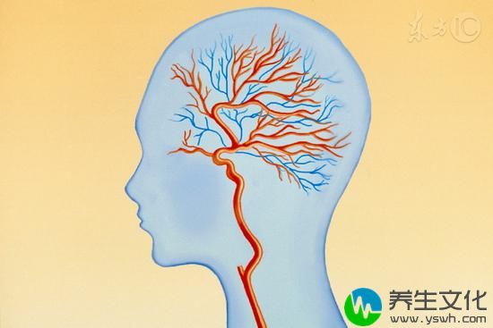 威胁健康的第一杀手不是<a href='http://health.sina.com.cn/disease/ku/01048/' target='_blank'>癌症</a>而是它！做好这8点，能降低风险