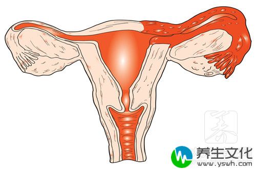 多囊做b超能看出来吗