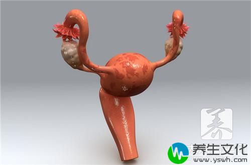  宫颈感染hpv什么症状