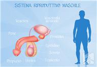 果冻样精子可以怀孕吗