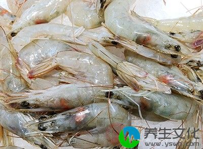 鲜虾12只、海盐1000g