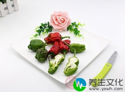 辣椒不能和什么一起吃