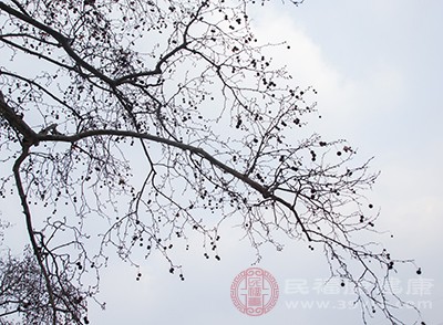 雨水节气怎么养生 这个时候养生要注意御寒防风