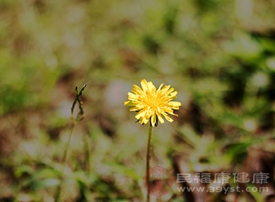 芒种是几月几号 六月五号原来是这个节气