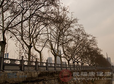 冬至的习俗 原来这个节气竟要祭祀