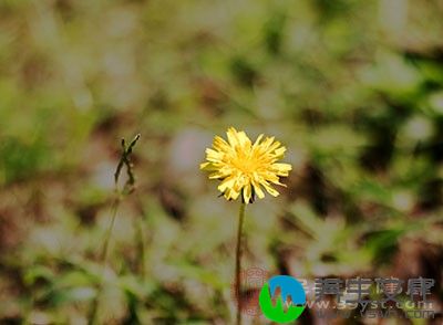 立秋是夏至后第三个节点