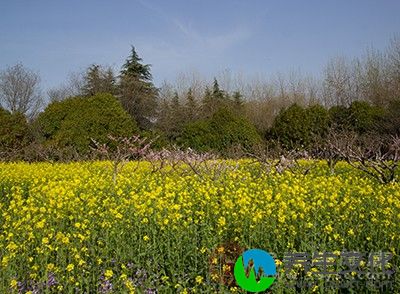 对全国大多数地方来说仅仅是春天的前奏