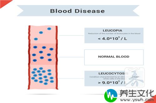 生酮饮食疗法减肥(1)