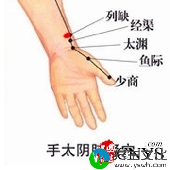 八种穴位养生 临时急救受益一生