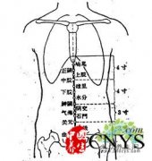中脘-胸部穴位