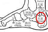 水泉穴主治那些疾病？位置在哪儿