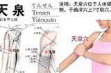 天泉穴：改善供血不足、胸闷气短