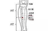 按摩条口穴位的作用与好处