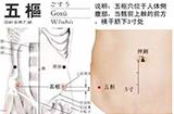五枢穴的准确位置图及穴位疗法