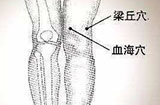 梁丘穴的位置和按摩梁丘穴的作用与功效