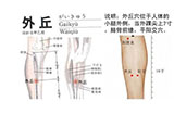 外丘穴的准确位置图及穴位疗法