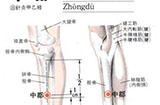 中都穴的准确位置，常按有什么作用