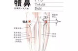 按犊鼻穴对身体有什么好处？