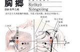 胸乡穴的具体位置及功效与作用