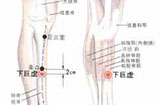 下巨虚的作用与功效，具体位置在哪