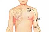 天府穴穴位位置图及作用