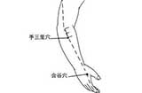 手三里穴，疏经通络，消肿止痛