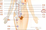 外陵穴位位置图及作用